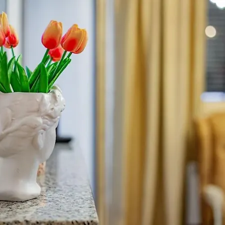 Viogor Prestige Forest * Zlatibor