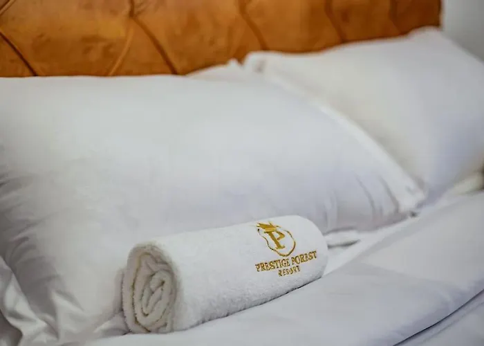 Viogor Prestige Forest * 즐라티보